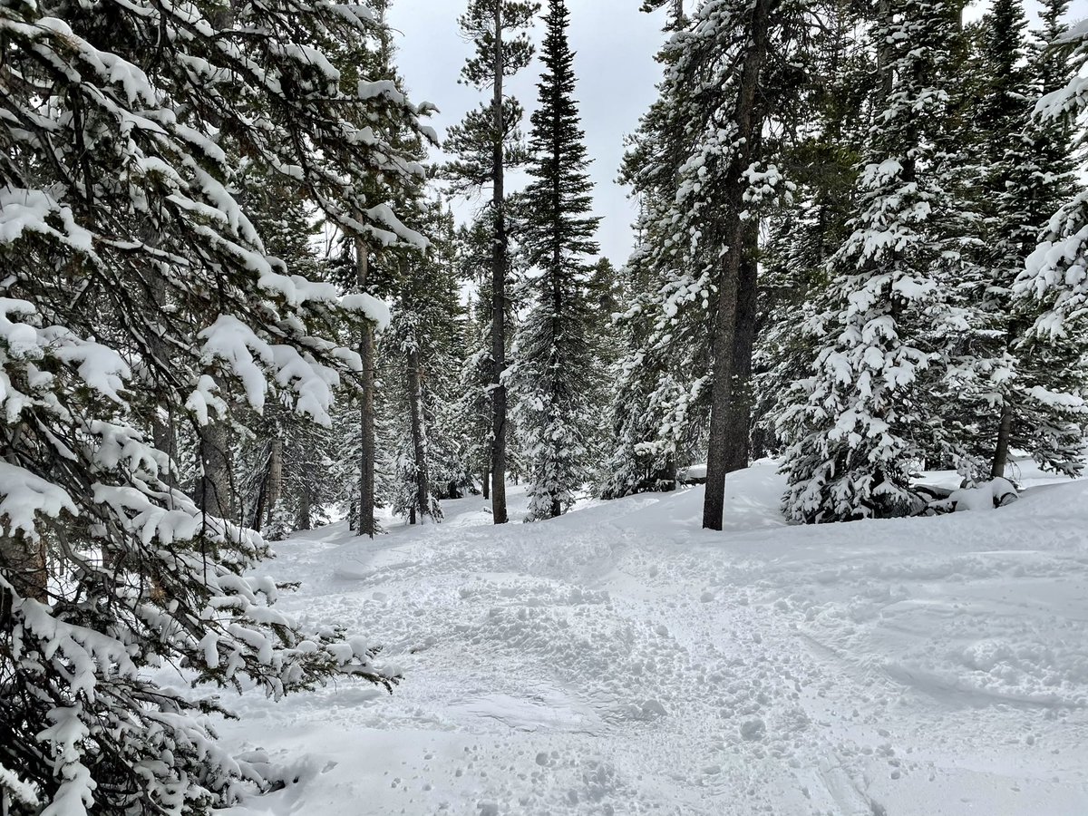 GDraper70's tweet image. Today. Was. Awesome.
#eldora