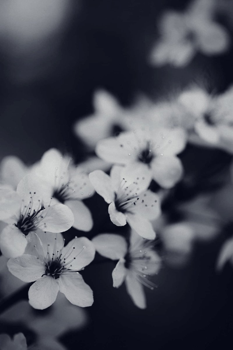 YvetteLouise_'s tweet image. It’s the 10th &amp;amp; we’re well on the way to finishing first 1/4 of 21!

This month I have a #freshoutlook &amp;amp; #newgoals &amp;amp; I’m excited to dig deeper into exploring more artistically, ready to start #refocusing

Does a refocus give you energy too? If so, Here’s to OUR New Shift!
#nature