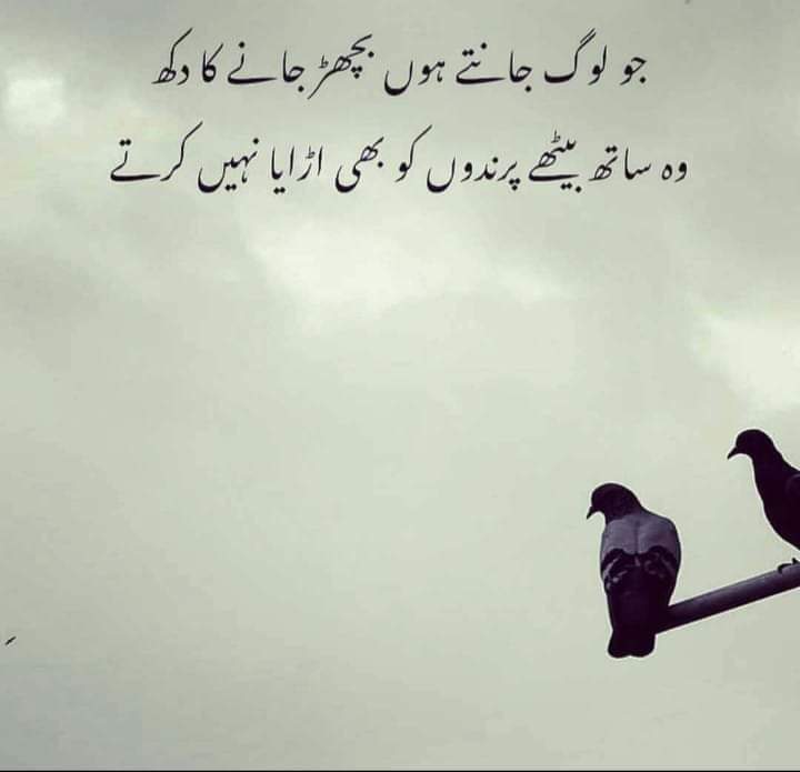 kashmiri00786's tweet image. ظرف #خون میں شامل ہوتا ہے...❤😘

نسلیں ماتھے پر نہیں #لکھی ہوتیں...!🙃
 ❤️❤️💞🇵

#Chughtai