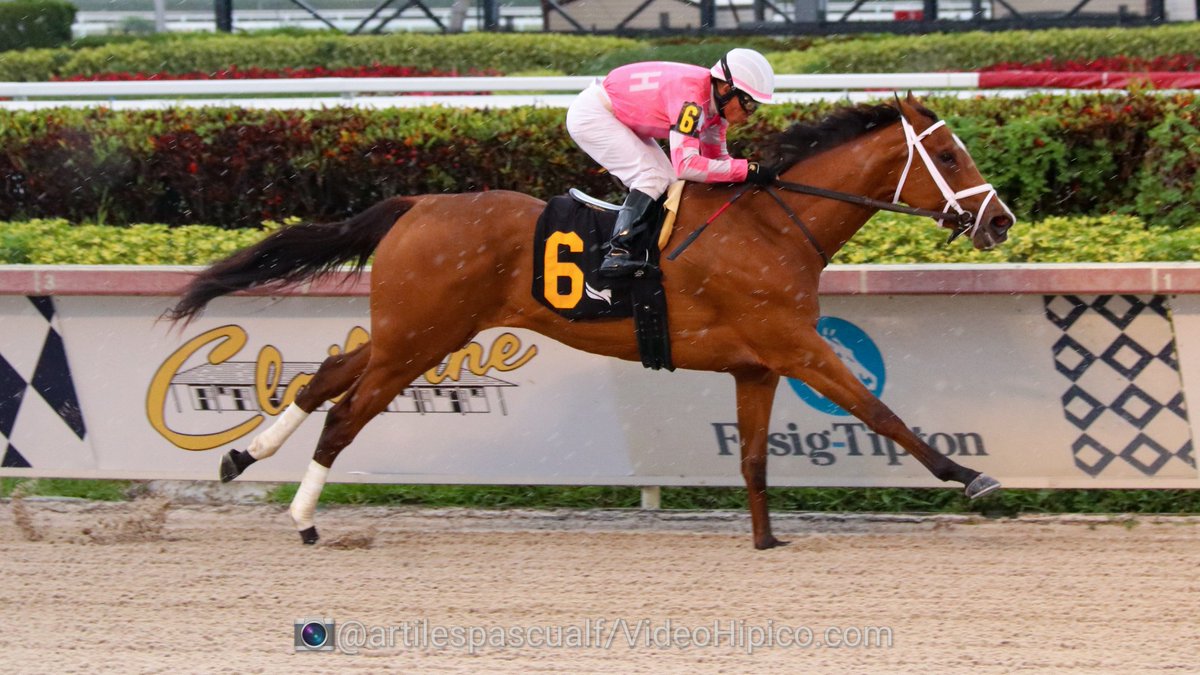 O Xrhsths Videohipico Sto Twitter Roadhouse Blues Wires The Field In Race 5 Gulfstreampark Championshipmeet Roadhouse Blues De Extremo A Extremo En La 5 ª Carrera Gulfstreampark Jockey Jaramillojockey Trainer George Weaver T Co