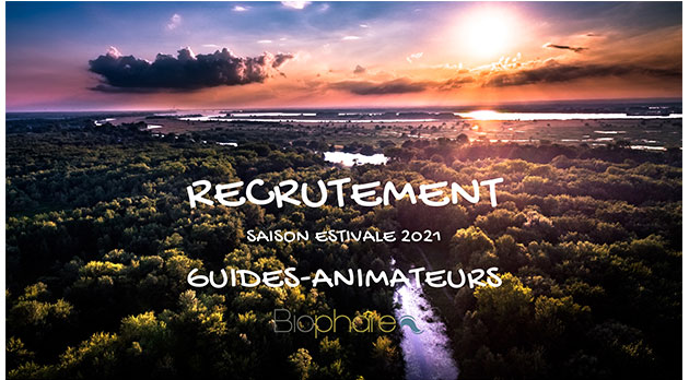 Biophare - Institution muséale & Randonnée nature tweet media