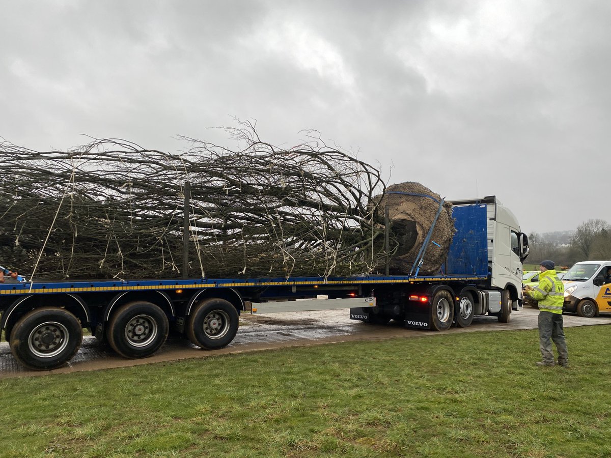 MarcMgee's tweet photo. Another stunning tree planted by the team ⁦@civictrees⁩ in the heart of the #cotswolds today #treeplanting #landscaping #construction ⁦@glendaleuk⁩ ⁦@Batman_Shipman⁩ https://t.co/OHjOzUObuH