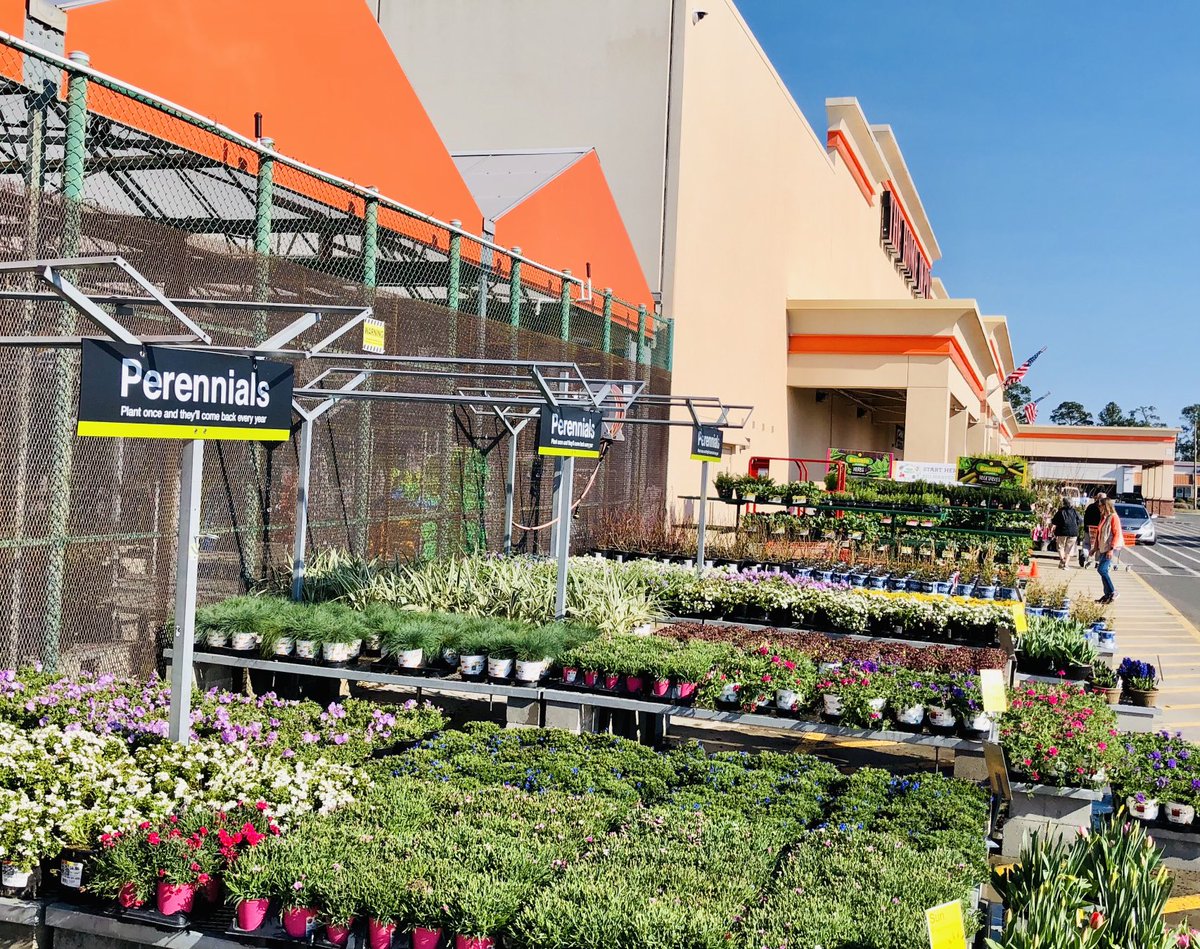 PPSKare's tweet photo. Perennial Power shining bright @NMB HD 1121 #moredaylightfordoers #digintoSpring @JimSimmonsHD @Stephen_E_Camp @pps_s_atlantic @PPSinHD https://t.co/ZM9QhRagHP