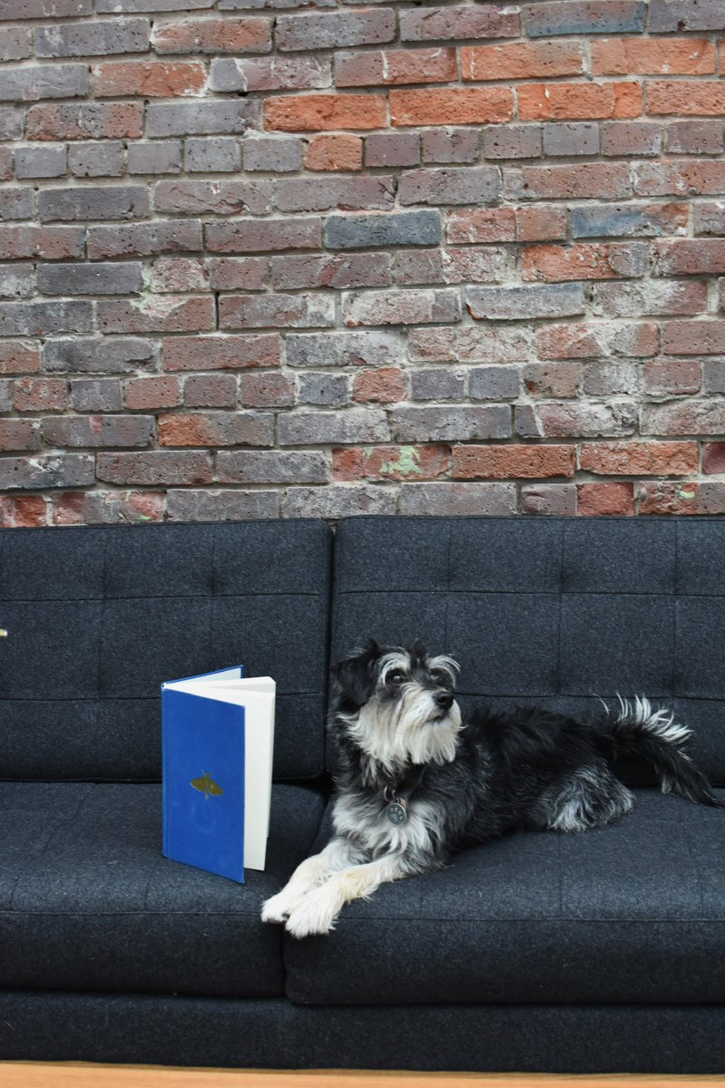 Some leisurely reading—did you know our campus is dog friendly? Calling all pups! 🐶