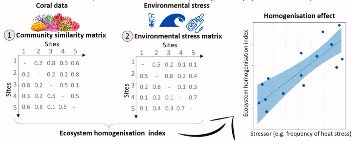 Introducing the ecosystem homogenisation index (EHI) - designed to evaluate habitat homogenisation across environmental gradients. The EHI allows computation of a beta-diversity value for any given  community - like a reefscape for example pdf.sciencedirectassets.com/272392/AIP/1-s…