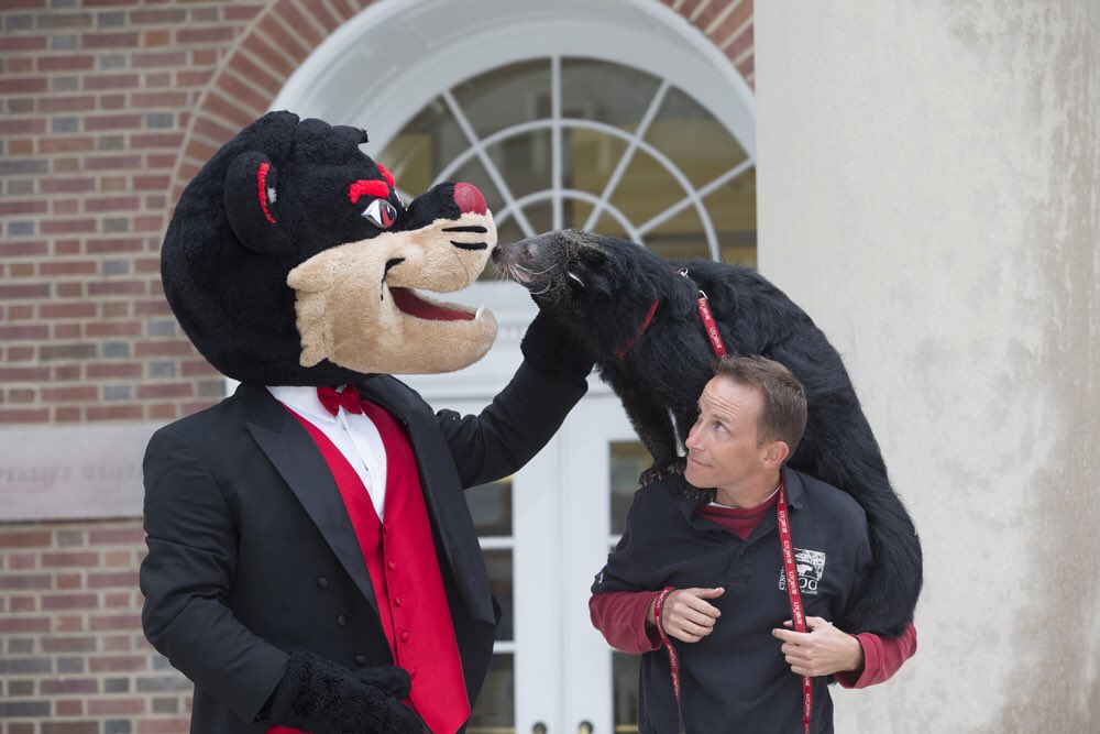 GoBEARCATS's tweet image. Today we say goodbye to our old friend Lucy. 

She was an ambassador for the bearcat species and attended more than 200 games at @uofcincy over the past decade. 

R.I.P. ❤️