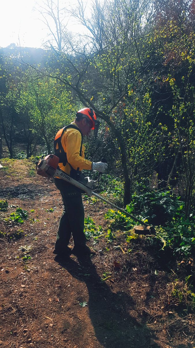 🌿🌳🌿 TREBALLS DE PREVENCIÓ, TALA I DESBROSSATS🚨👷

Aquestes setmanes hem estat efectuant treballs👷🚕 de prevenció d'incendis 🌳🔥mitjançant treballs de debrossats i neteges 🍃🌿🧹🧹a Sant Fost de Campcentelles🌳🌿🏞️
#ADF #ADFcat #prevenció #forestal #incendis <a href="/ADF_LaConreria/">ADF La Conreria 🌳🌲👷🚖🎗🎗</a>