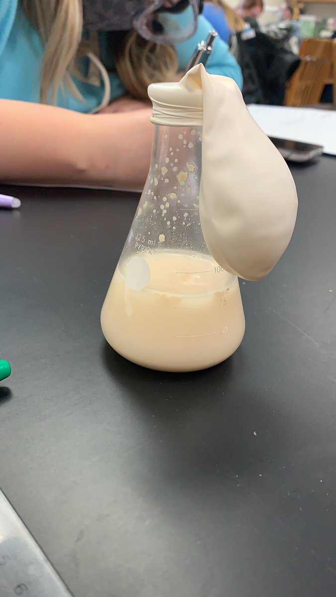 #106Week7MVS21 <a href="/mckennavininski/">McKenna Vininski (she/her)</a> who knew watching maltose and water was so interesting?? I wonder how big the balloon will get?