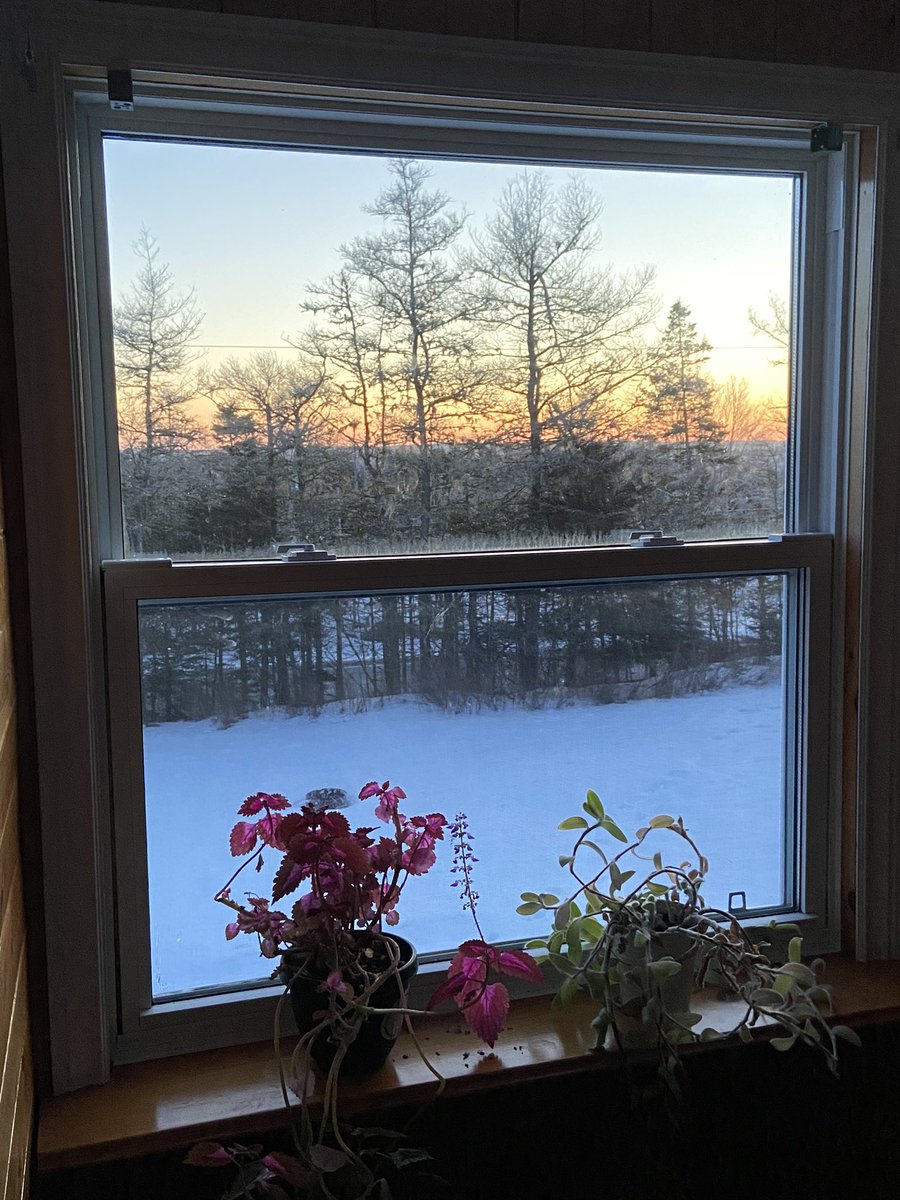 RPhillips56's tweet photo. I live here! #gabarus #sunrise #NovaScotia https://t.co/zOyuMgJC7O