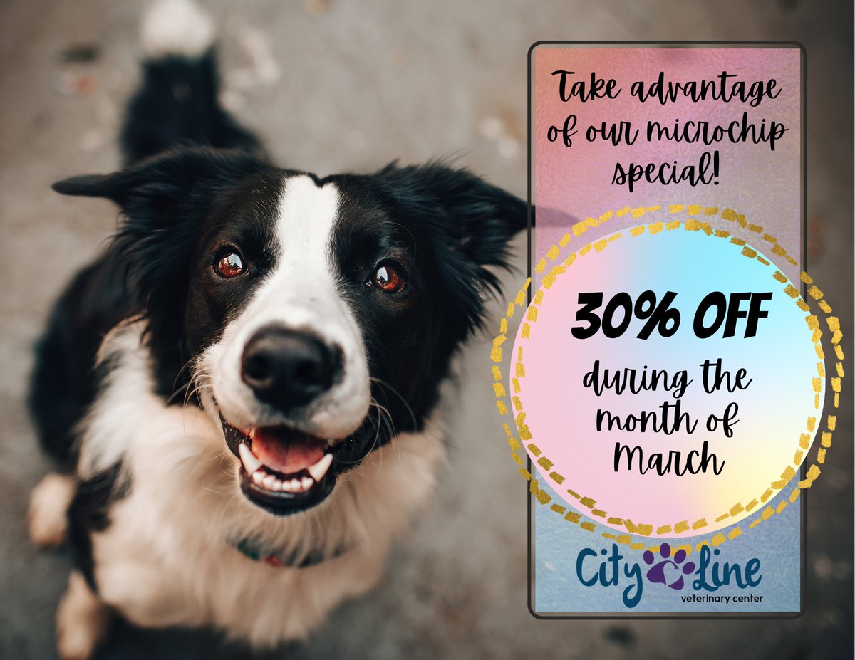 City_LineVet's tweet photo. Get a microchip for your pet this March, and you'll get $15 off! #MicrochipMarch https://t.co/SM1Cs7CMAg