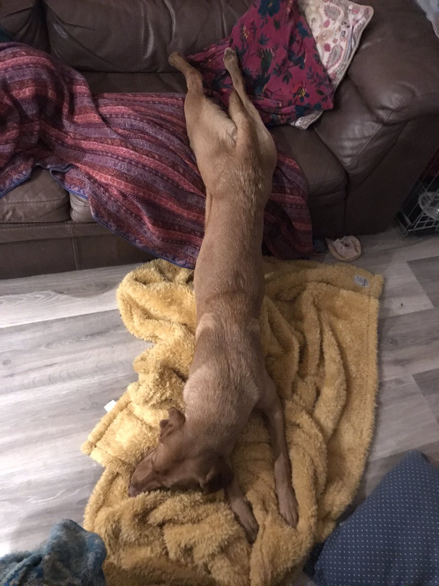 Ed Morris tweet media