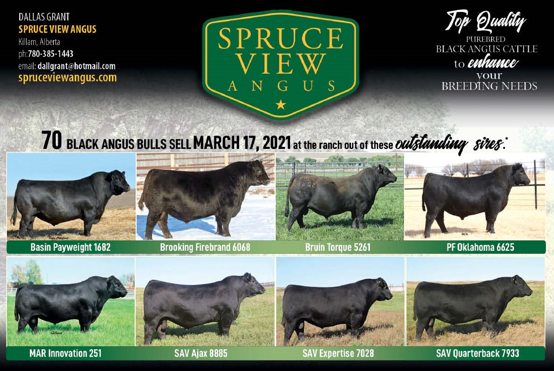 cdnangus tweet picture