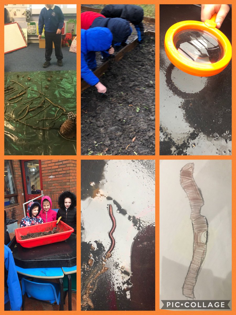 Wonderful Worms!After the excitement of last week in the allotment ,we decided to find out more about worms. Finding, observing, recording. Plus some loose parts! Bendigedig year 1. 
@DPSEdwards @DPSWitcombe @DeightonPrimary 
#ODL #ecoschoolswales #ambitiousandcapablelearners