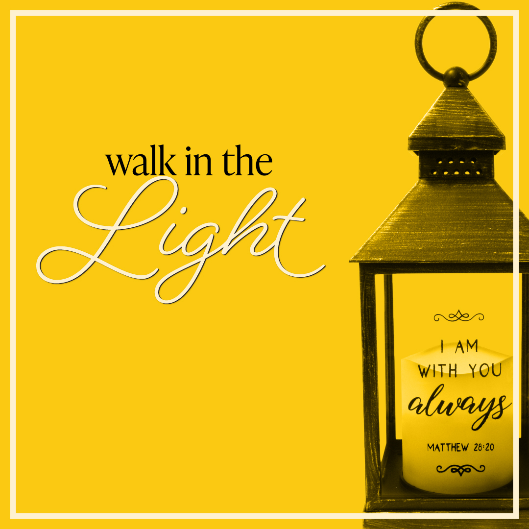 God is light. His Word is a lamp for our feet and a light on our path.

This lantern is available on swanson-direct.com link in bio

#giftsthatinspire #light #lantern #truth #shine #walk #walking #journey #path