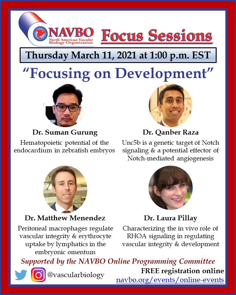 vascularbiology's tweet photo. Tomorrow at 1 p.m. ET,  please join us on #NAVBO Focus Session on Development (abstracts from #NAVBO2020)
Register for the Focus Session here: https://t.co/lIxspxbfAS https://t.co/bQmoTQDLqv