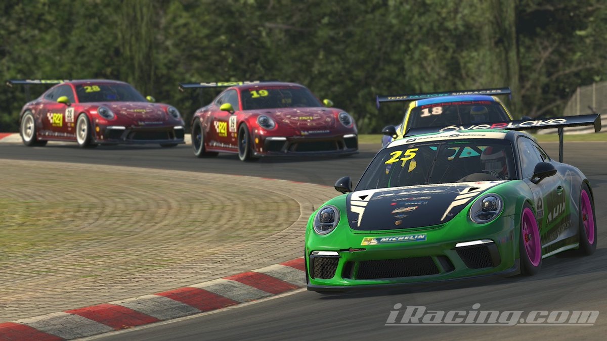 🌲🌲🌲🛣️🌲🌲🌲