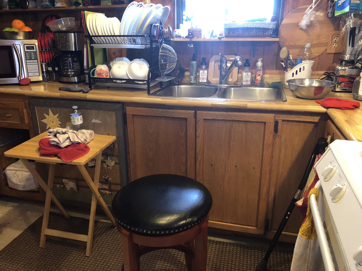 Debfoundjohn's tweet image. #FindMyCatChallenge