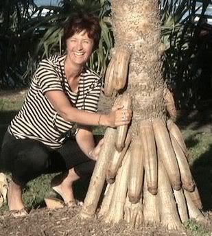 Hashi Alvarez tweet media