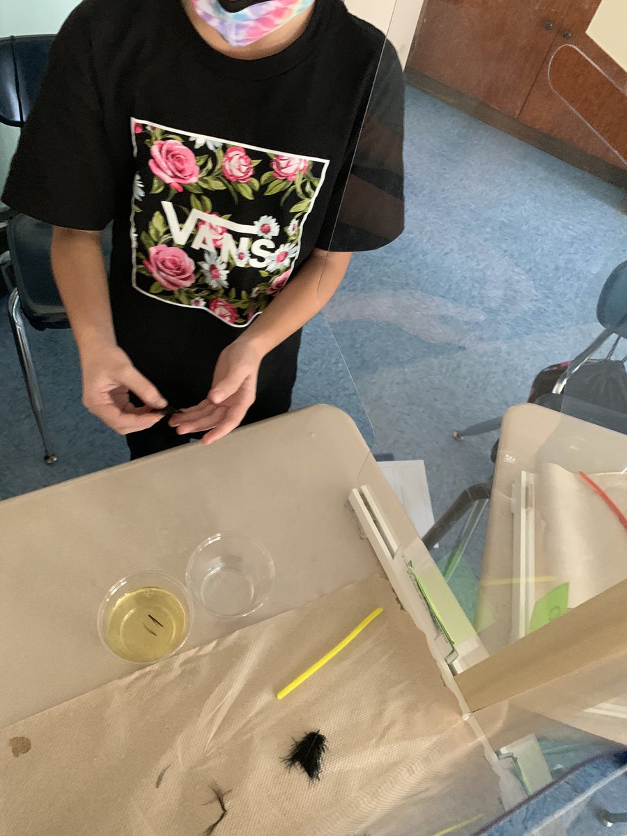 We observed how oil spills affect animals in today’s science experiment.