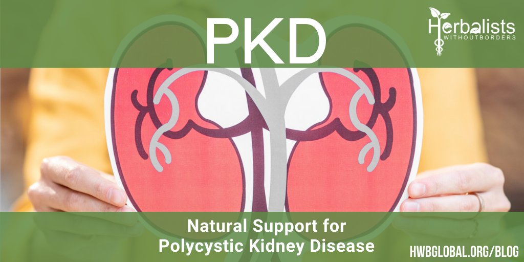 HerbalistswoBorders tweet media