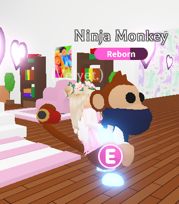 PinkCakeShine's tweet photo. 💚Adopt Me March Giveaway😍
To Win These Adopt Me Pets You Have To:
-Follow Me🤩
-Retweet This Tweet🤭
-Like This Tweet🥺
-Comment Down Below You Are Done✅
This Giveaway Will End March 16, 2021, A New Giveaway Will Be Posted In April, Good Luck. ☺️ #Adoptmetrades https://t.co/KmwiJHk1O3
