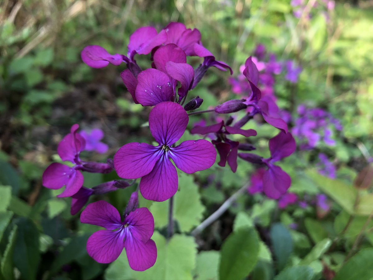 KeepingItLocal tweet media