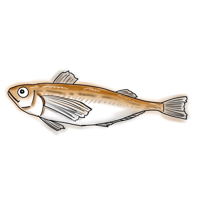 魚イラストのtwitterイラスト検索結果 魚イラストのtwitterイラスト検索結果