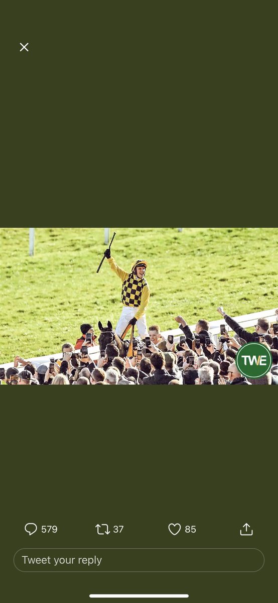 boxall11857's tweet photo. @TWEnclosure https://t.co/sYNAh1uxyc
