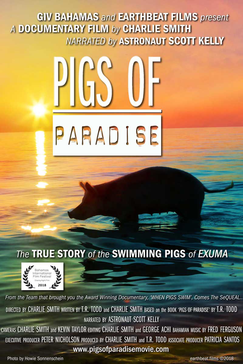 Pigs of Paradise tweet media