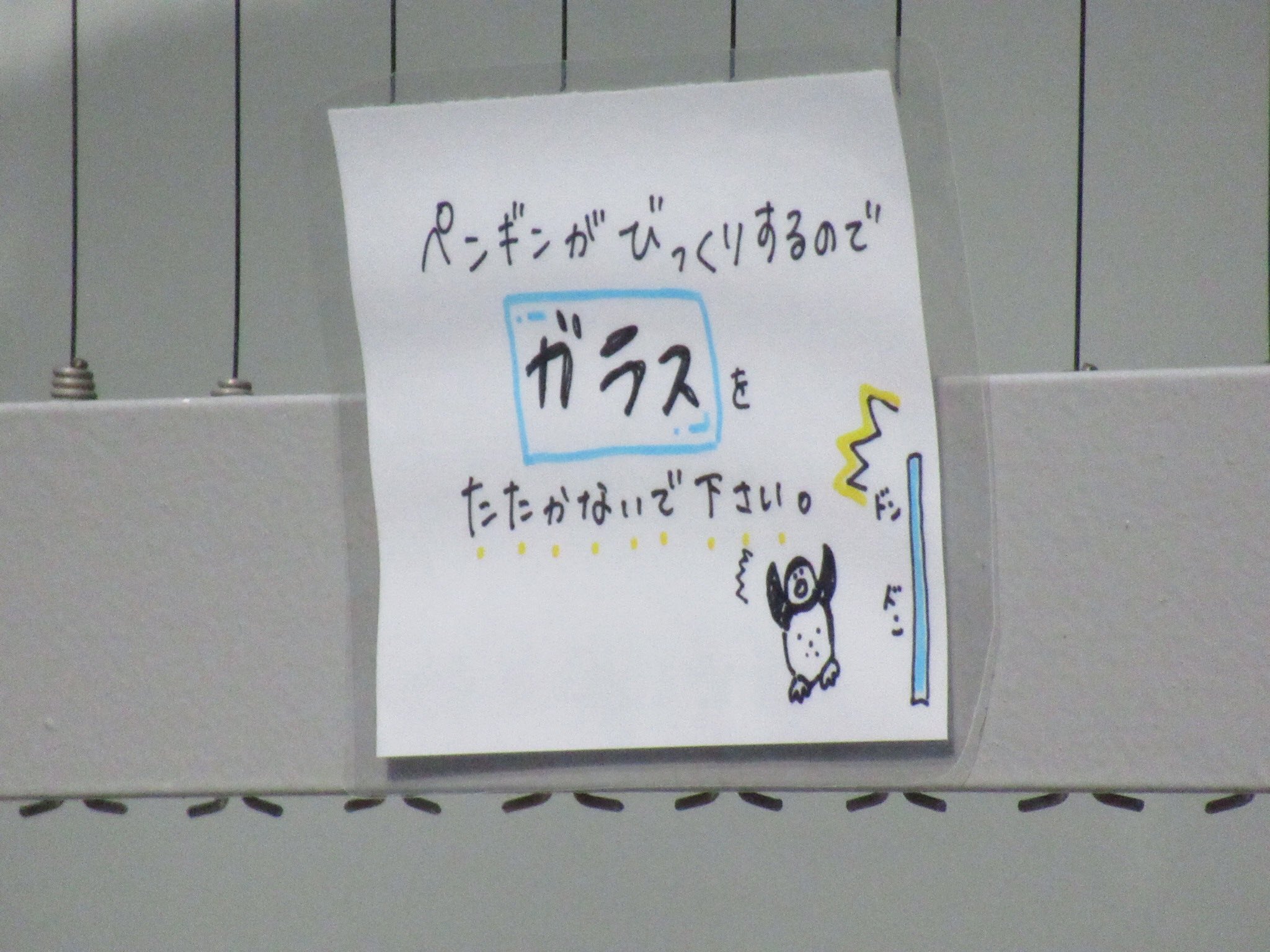 よっしぃ 手書きイラスト 一枚ずつ違ってて凝ってる 本格公開してもガラス叩いちゃダメよ フンボルトペンギン 和歌山城公園動物園 T Co Gkklvwcdqr Twitter