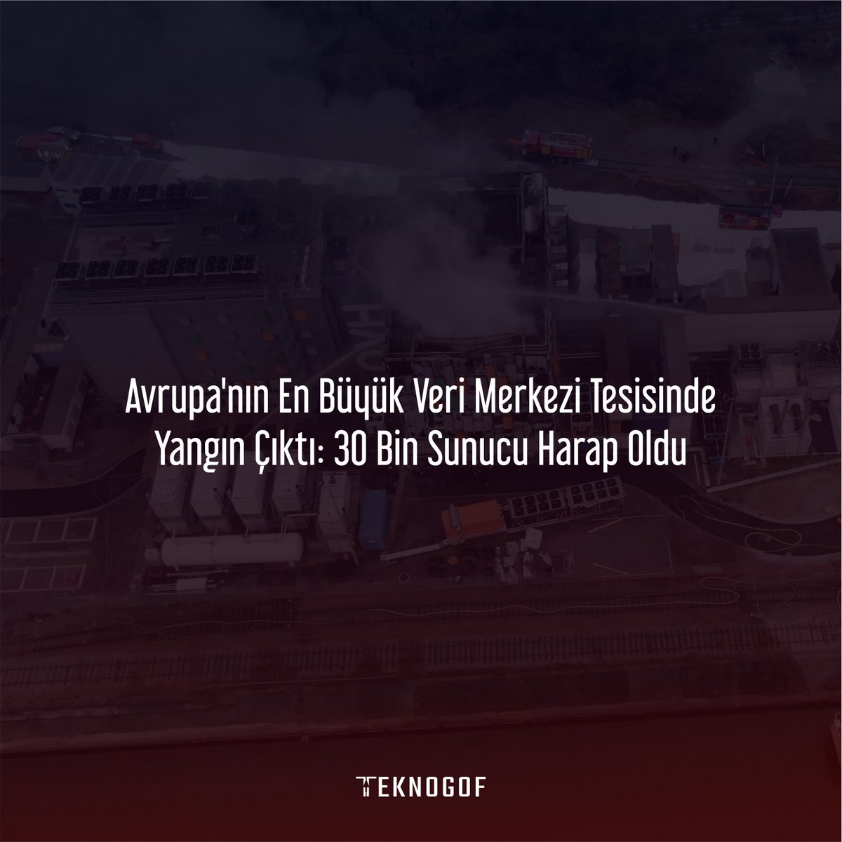 Teknogof tweet media