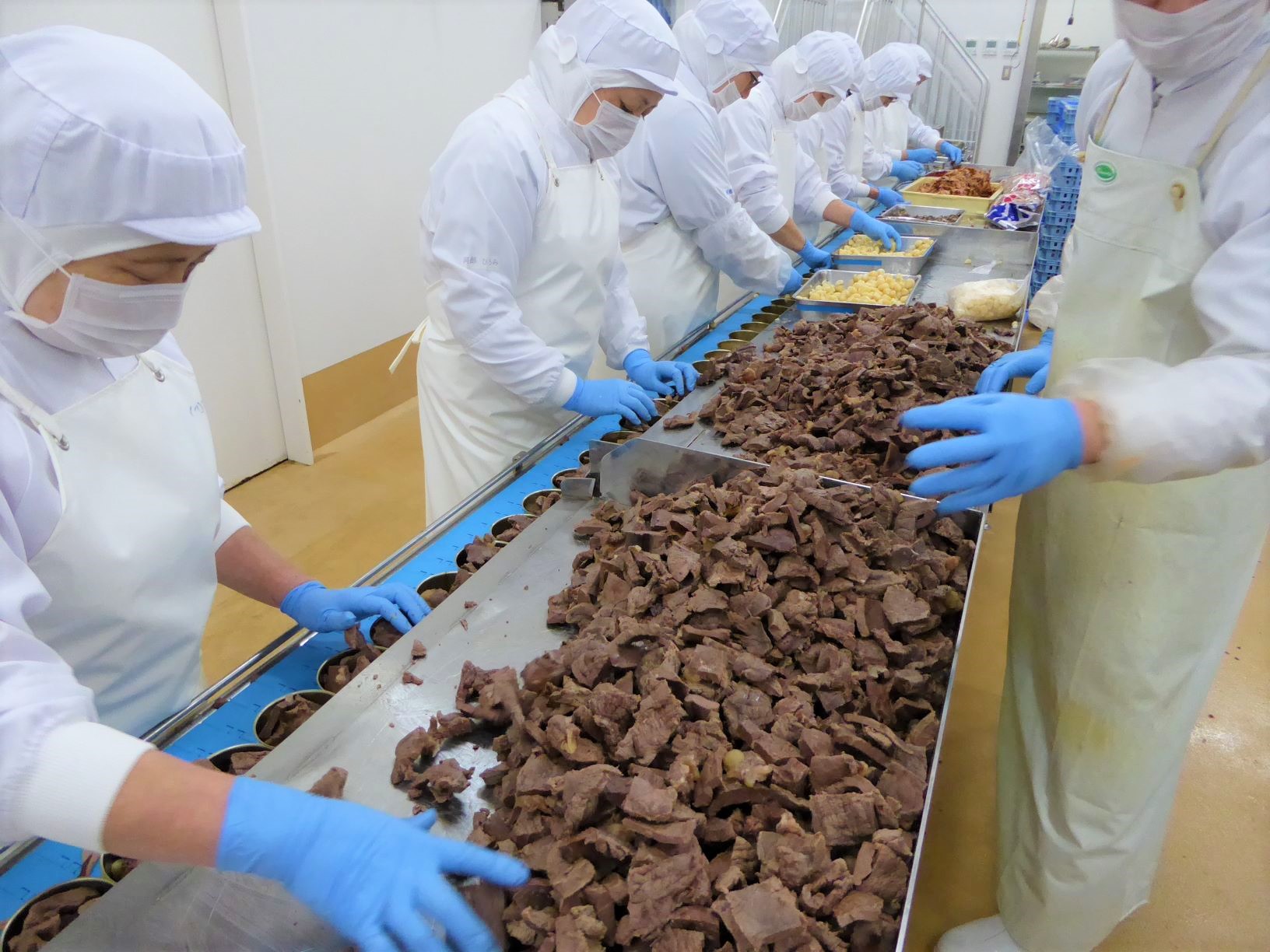 くじらさん専用 くじら専門店いさな家 塩クジラ「塩皮鯨ブロック100g」塩くじら