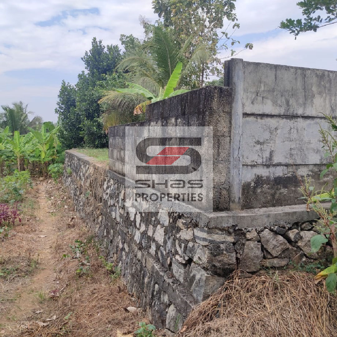shasproperties's tweet photo. House plot for sale in Mupliyam, Thrissur
For Enquiry Call/whatsapp: 81118 11710
Visit: https://t.co/llbPYDUNxC
#mupliyam #thrissur #houseplotforsale #realestate #realtor #realestateagent #home #property #forsale #realtorlife #investment #househunting #dreamhome #shasproperties https://t.co/vrNMqbjvCc