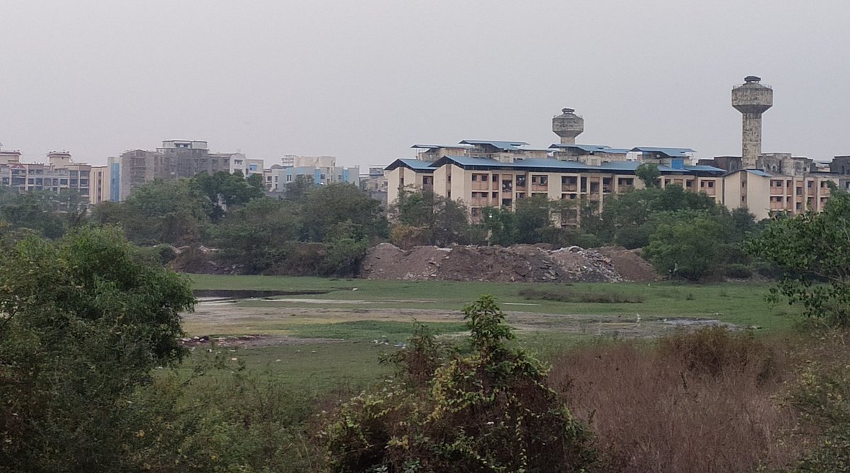 dharmeshbarai's tweet photo. #SaveLotus
Lotus Lake will soon disappear from the map, if authorities neglect.
It's beautiful water body with rich biodiversity.

@NMMCCommr @NaviMumbaiCity
@CPCB_OFFICIAL @RandeepHooda @ParveenKaswan @AUThackeray @richapintoi @ChatterjeeBadri @Laxmantweetsss @akshay_journo https://t.co/zmWBkgLJ19