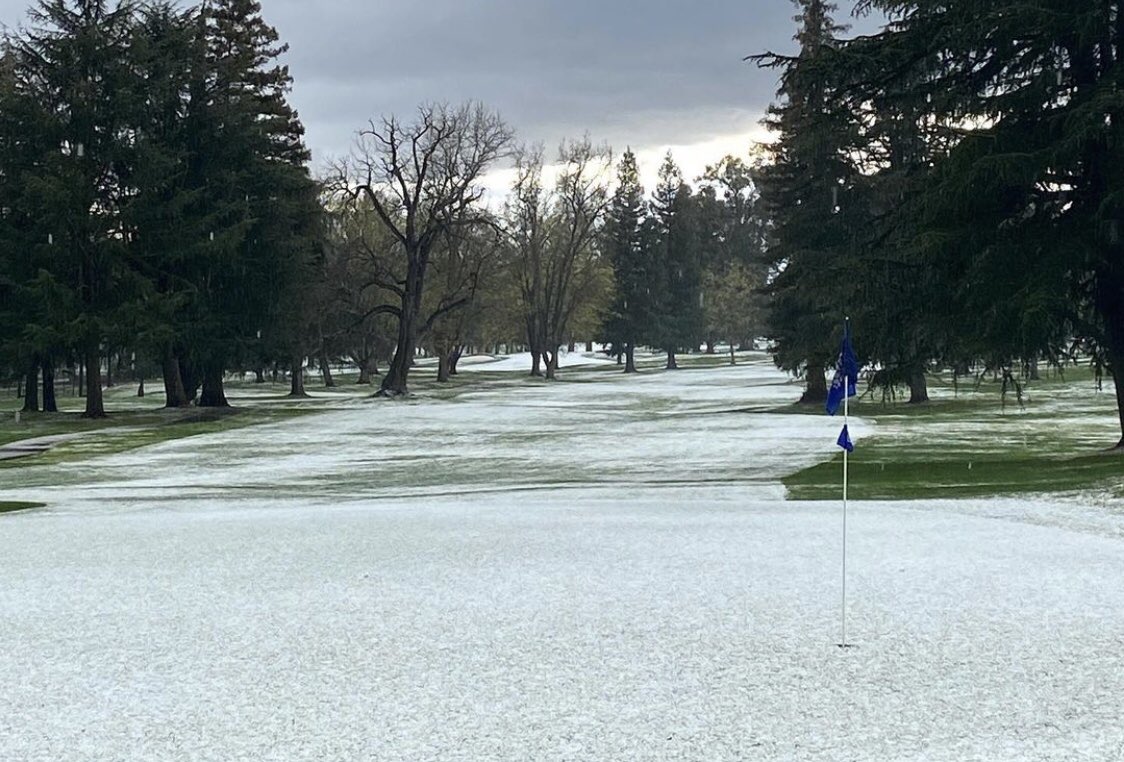 AncilHoffman's tweet photo. Holy Hail.... https://t.co/5lLd7NnGe4