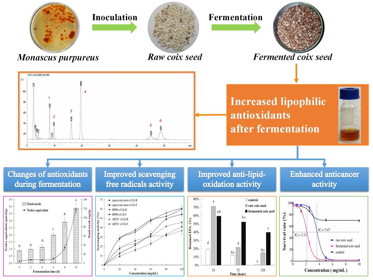 Foods_MDPI's tweet photo. #mdpi check this newly published paper "Increases of Lipophilic #Antioxidants and #Anticancer Activity of #Coix Seed Fermented by #Monascus purpureus" by Prof. Dr. Likang Qin and Prof. Dr. Song Miao et al. @GuizhouU @TeagascFood
🔗https://t.co/xXY2uwObZz https://t.co/Dra9RIATOP