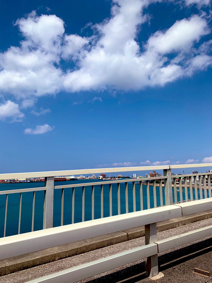 ZssOk's tweet photo. 今日は天気がいいですね🌼 https://t.co/GTdWz0jmld