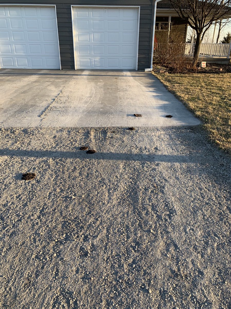 MeintsNE's tweet photo. Cow “patties” on the driveway....not what you want to wake up to😳🙄 https://t.co/cD0q2CyyF6