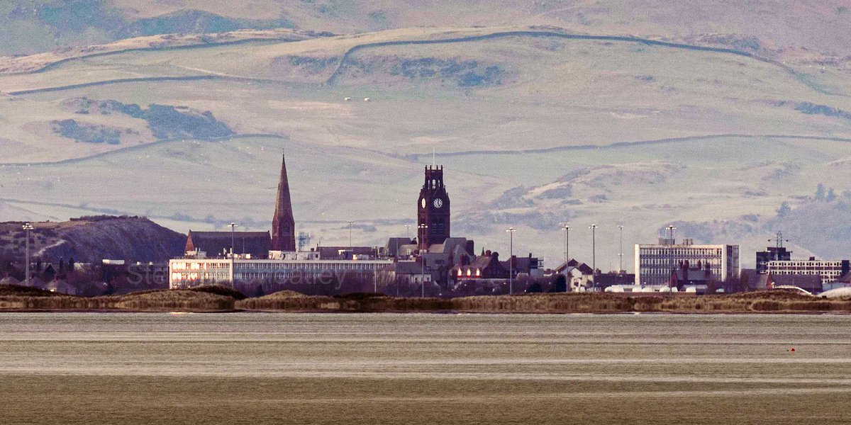 Stephen Cheatley Photo 📸 tweet media