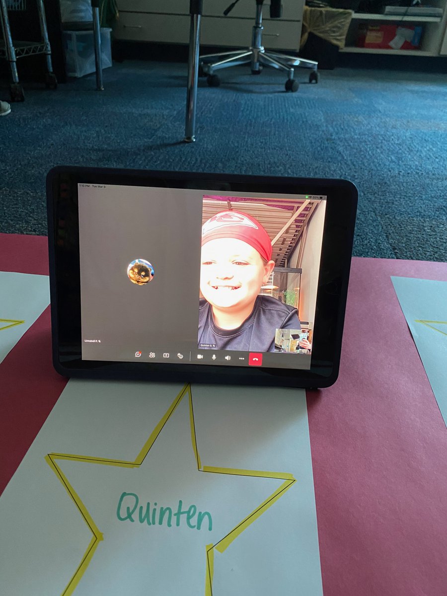 MrsBin5th's tweet photo. Just walking the red carpet at our publishing party #Clardywildcats #5thgrade #3rdpersonnarratives https://t.co/rixsJjBCKX