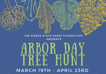 SouthTahoeNow's tweet photo. Sierra State Parks hosting Arbor Day Tree Hunt. Find the tree posted on their social media, take a selfie with it, then enter to win prizes. #LakeTahoe - open to kids and adults. #SierraStateParks #DonnerPark #DLBliss #EmerldBay #ArborDay https://t.co/u2eeXWW1No https://t.co/nWO8FSlf8F