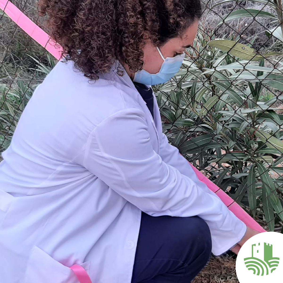 🎨👩‍🎨 El proyecto "Intervenciones artísticas" de la clase de Plástica tiene como objetivo decorar nuestra #EFATorrealedua para llenarla de alegría y color. ¿Lo conseguirán nuestras chicas? ¡Pronto lo veremos! ¡Seguro que queda fantástico porque están hechas unas artistas! 💚