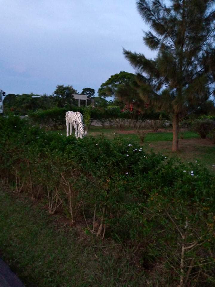 trident3's tweet photo. #Yesterday
Just #Playing on my #twitterPlayground #seeing stuff.  Doing no harm. 
#Hotline 
#0A=#Jesus
#0B=#Being
#0G=#GameDevs
#0F=#Faith 
#0K=#Kingdom
#0M=#MxO
#0N=#Now
#0Q=#qKitty
#0S=#Spirit
#0Z=#Zebra
@realdonaldtrump
@realdonaldtrump
#GlobalWitness
#Today https://t.co/MJlcqIU4dv