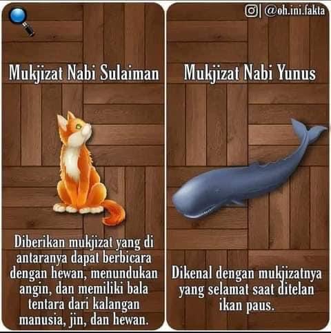 Afirhuls's tweet photo. salam alaikum, aku nampak benda ni menarik untuk tambah knowledge kita so yeah aku share dekat sini ❤️ https://t.co/WDRbCi52hH