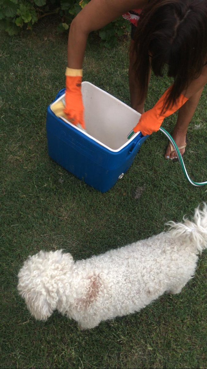 Perrada!!! El pasado sábado nos dejamos olvidada esa conservadora en la previa de Andrés abiatti, y sin querer alguien se la llevó, la estamos buscando. Por favor si alguien la tiene o sabe algo nos avisa!! Desde ya muchas gracias