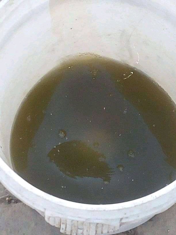 RotjiboyJoseph1's tweet photo. @WHO The pictures I send above are from a community call Jenta in Nigeria, Jos Plateau State.

This community is seriously suffering from lack of water which can lead serious health issues please can WHO come to the rescue of this people we have so many children that are in dange https://t.co/nPycqT4WHR