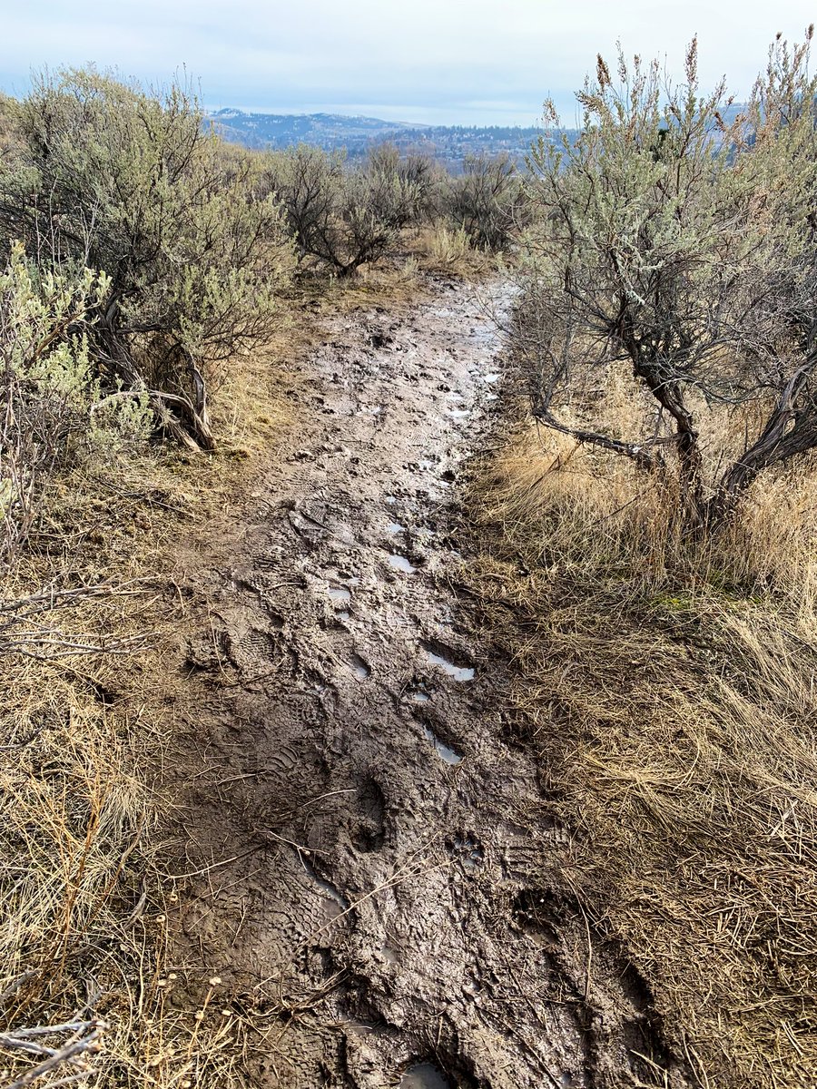 It is a good idea to avoid #Kamloops nature trails for the time being. Much too wet and muddy this week. Check out Rivers Trail, X’get’tem’ Trail, Aviation Way dike trail or West Highlands Park in Aberdeen for some enjoyable options <a href="/TourismKamloops/">Tourism Kamloops</a>