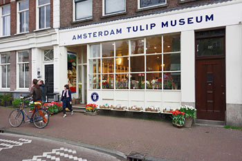 TulipMuseum's tweet photo. Although the Amsterdam Tulip Museum remains closed at this time, our shop is now open on a limited basis. 

Please feel free to stop by Friday till Monday from 11:00-16:30. We hope to see you soon! #Amsterdam https://t.co/UOGv56Doc6