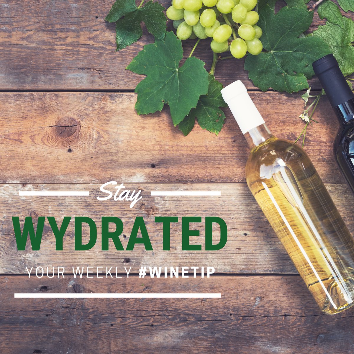 ontherocksatl's tweet photo. Try These Wines The Next Time You Want To Treat Yourself! 

1. Adelsheim Willamette Valley Pinot Noir ($26)

2. Forge Cellars Lower Caywood East Dry Riesling ($24)

3. Chateau Miraval Provence Rose ($20)

4. Marilyn Merlot ($24)

5. Jermann Pinot Grigio ($23)

Cheers🍷 https://t.co/MKWt0Lqb3H