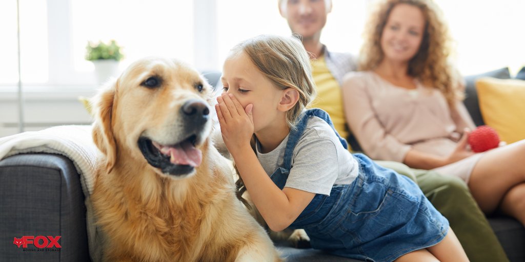 foxmover's tweet image. 🚨 STOP! Moving with pets? Make sure to read this! 🐈 🐕

bit.ly/2Frzr5C

#movingpets #petcare #movingday #moving101 #nashville